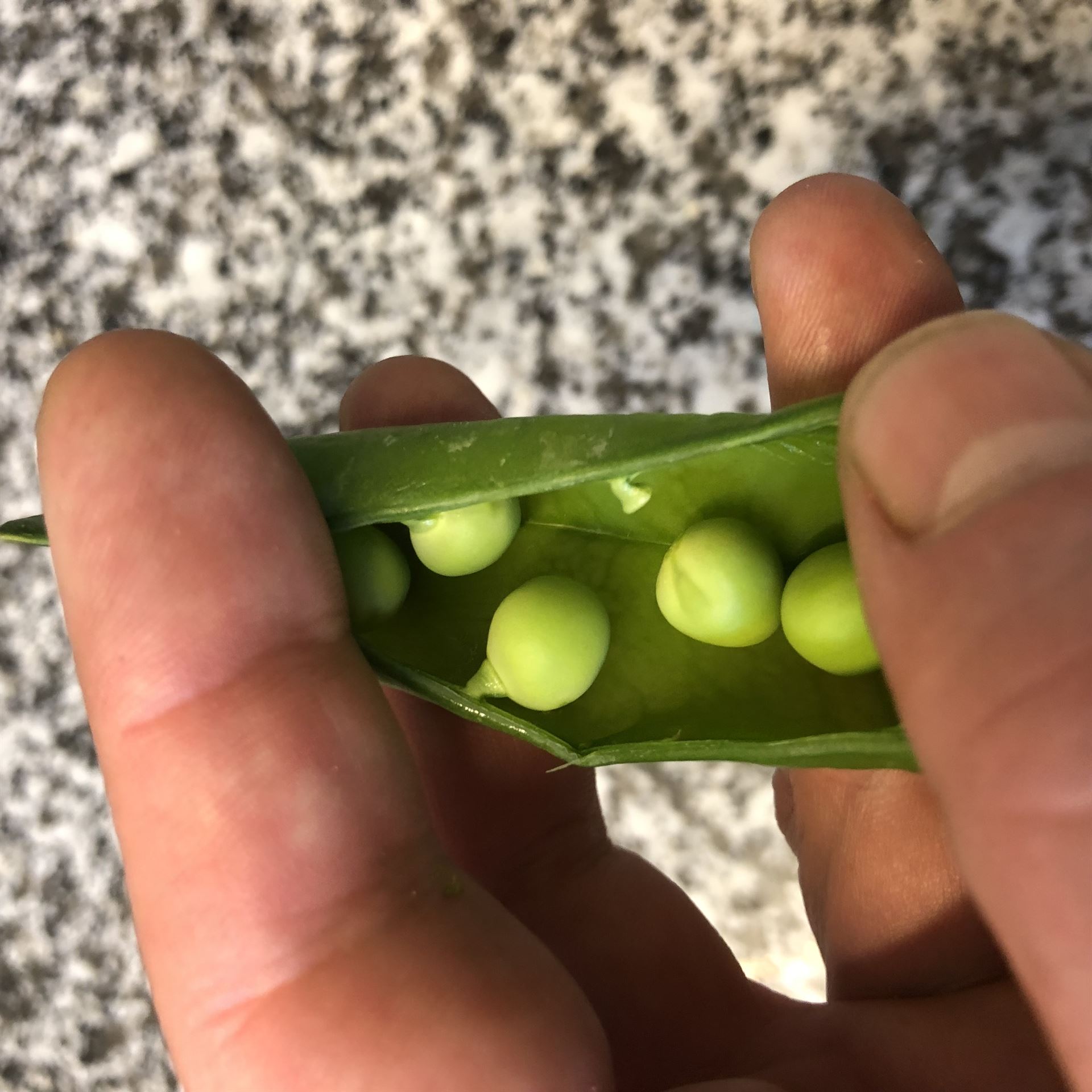 Petits pois frais — cuisine Le&nbsp;Tri‑Marrants